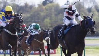 horses racing